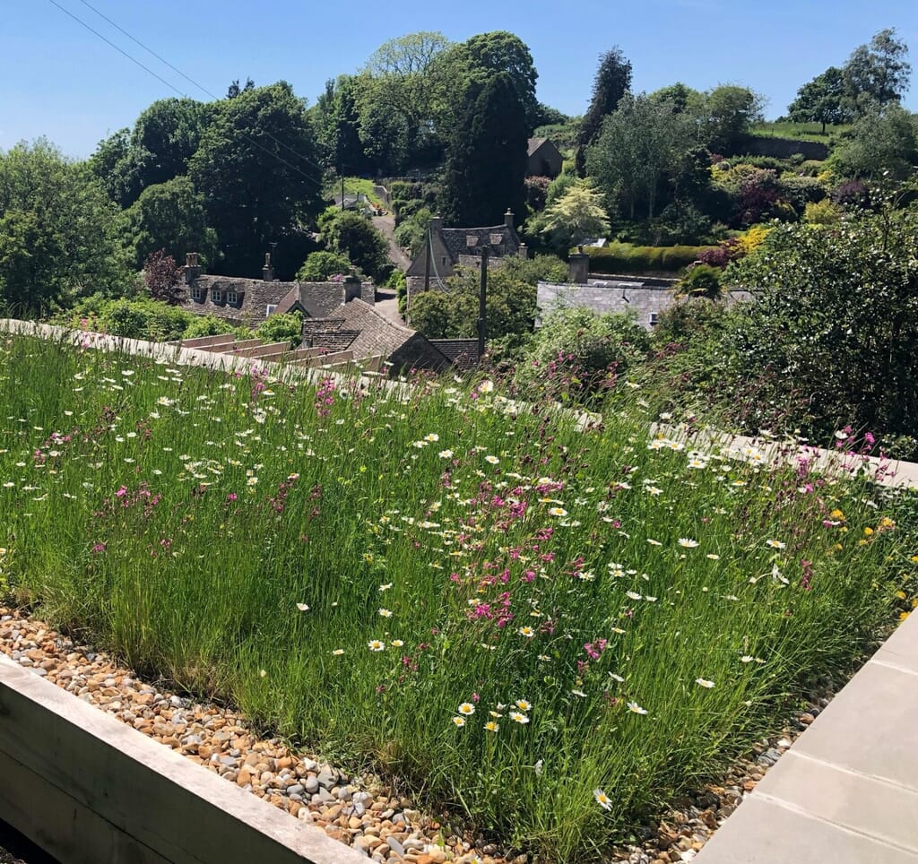 2022-Wildlfower-following-spring-install-scaled-e1741097349526.jpg?w=1024&h=964&scale