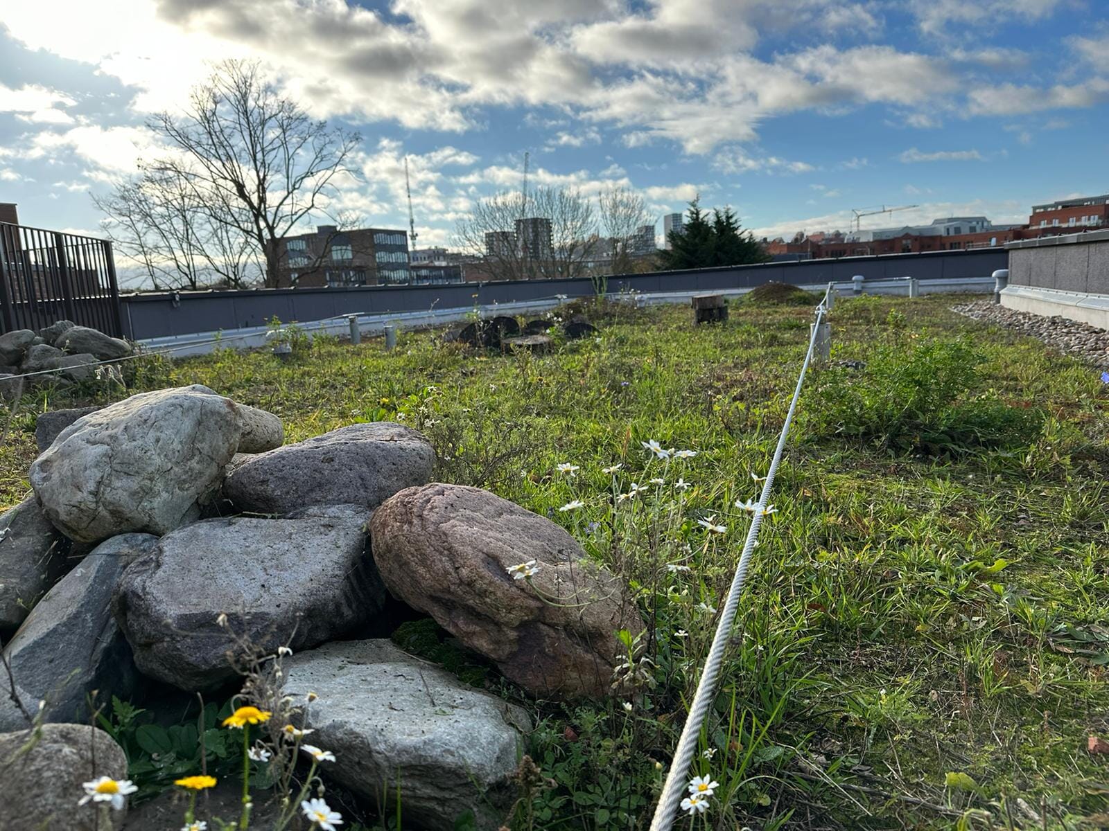 83211AC3-C36D-4087-A830-AE4EB71ABD83