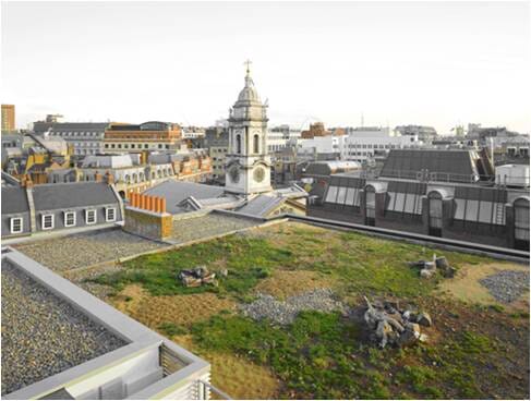 Sky Garden Sand Piles