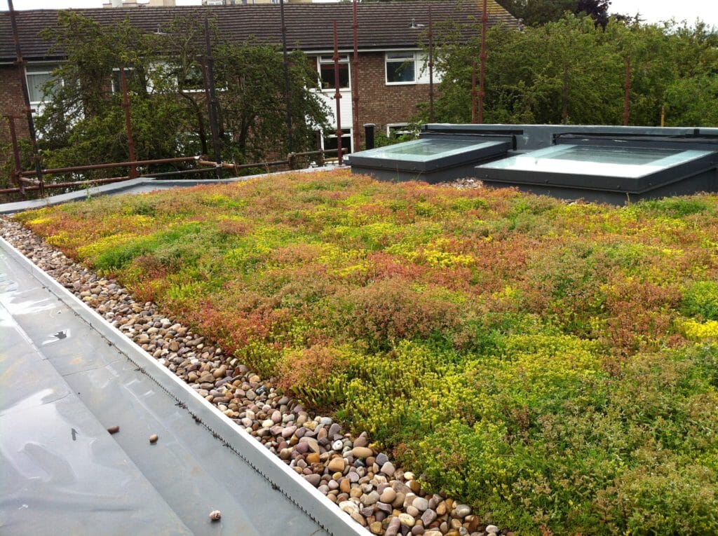 Sedum-blanket-roof-11