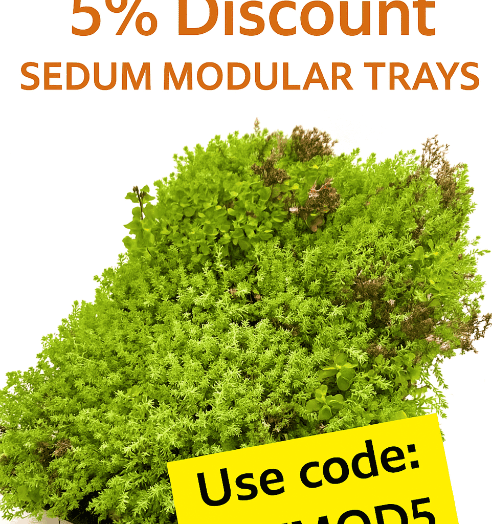 SKYMOD5-1.png?w=962&h=1024&scale